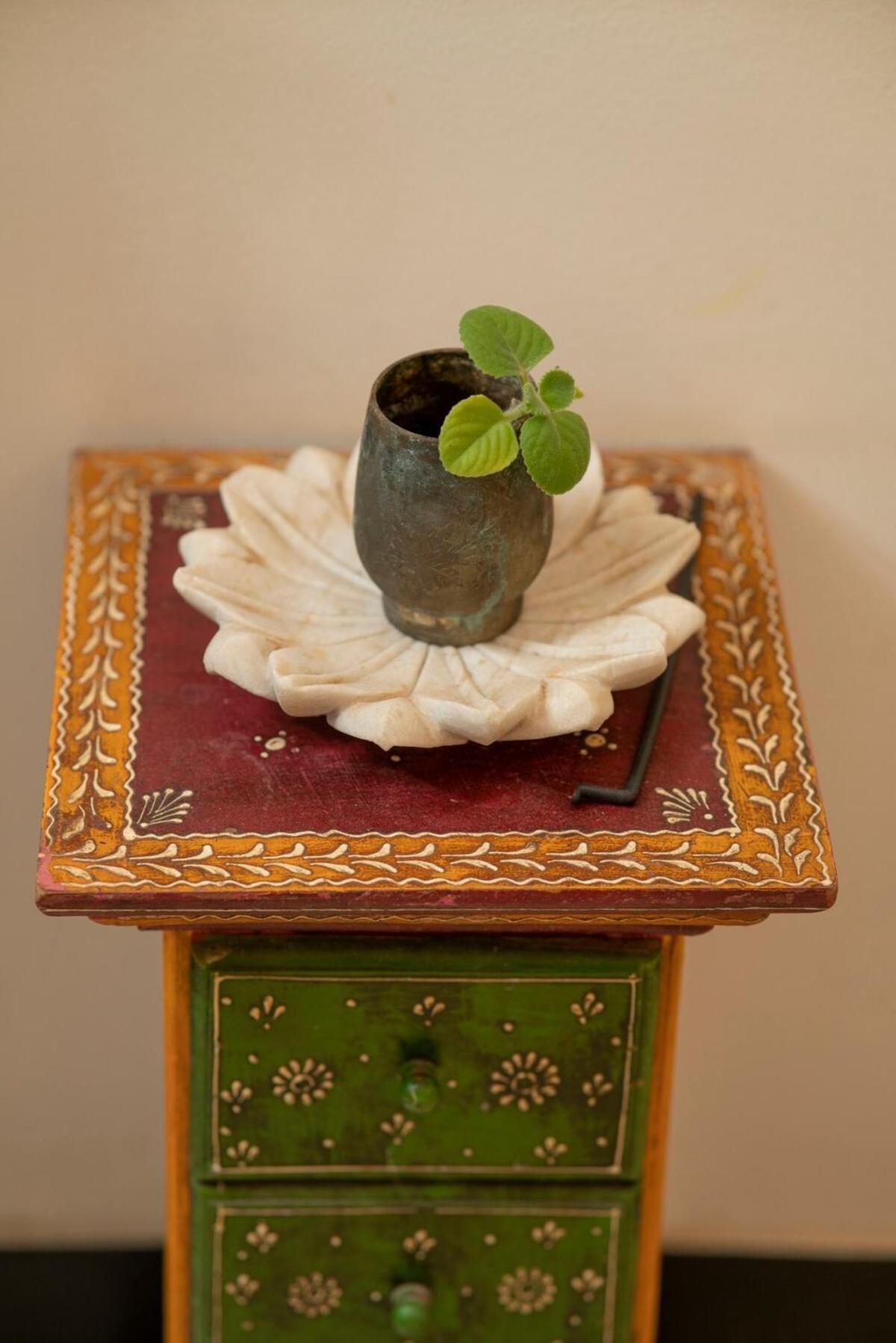 Santosh Villa - The House Of Antiques And Art Udaipur Exterior foto